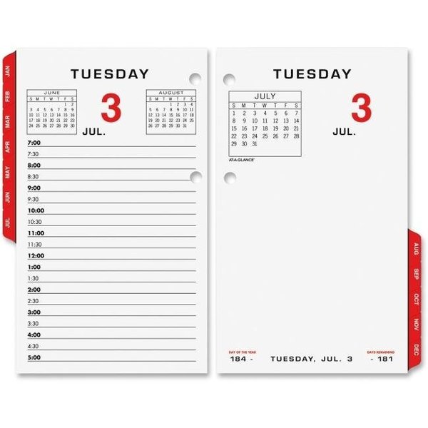 At-A-Glance At A Glance AAGE01750 17 Style Daily Desk Calendar Refill AAGE01750